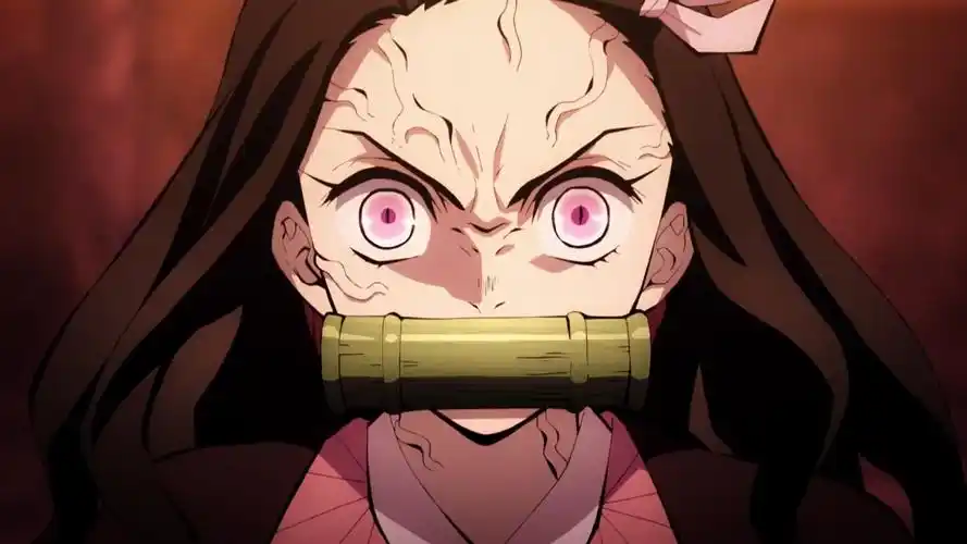 蜡笔小新 动漫全集